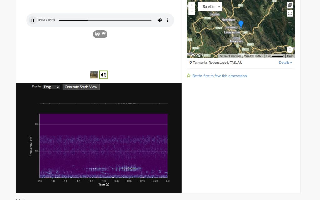 Screenshot of iNatSpectro on an observation of a Southern Smooth Frog.